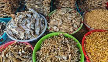 Dry Fishes
